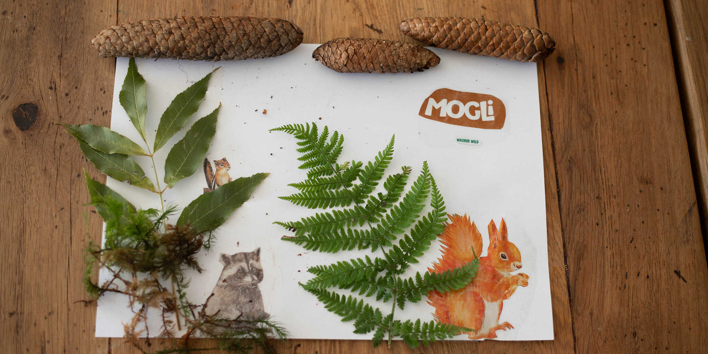 Aus Snack wird Sticker – kreative Bastelidee