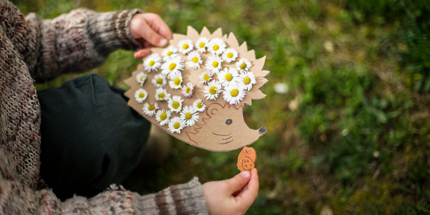 MOGLi Draußentipp Gänseblümchen Igel