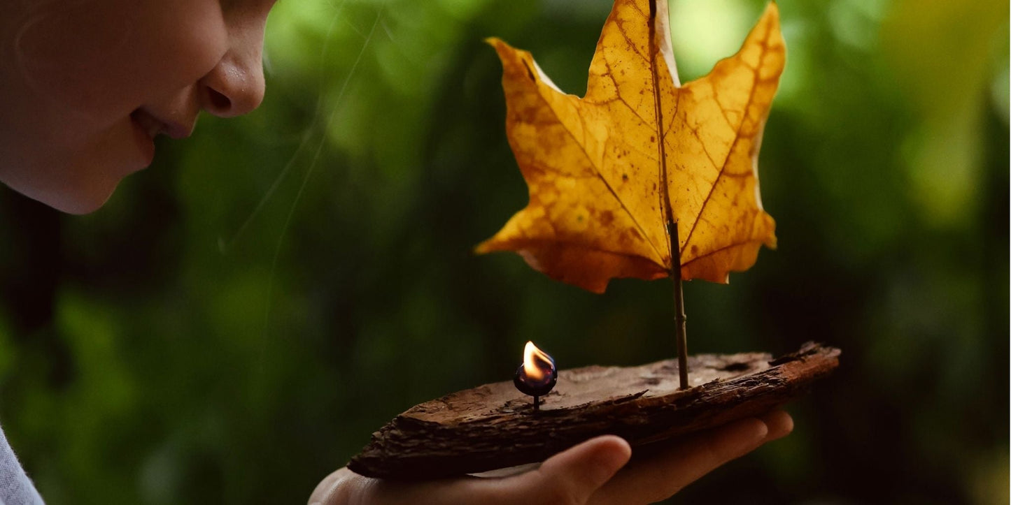 Kind hält Haselnussschiffchen in der Hand