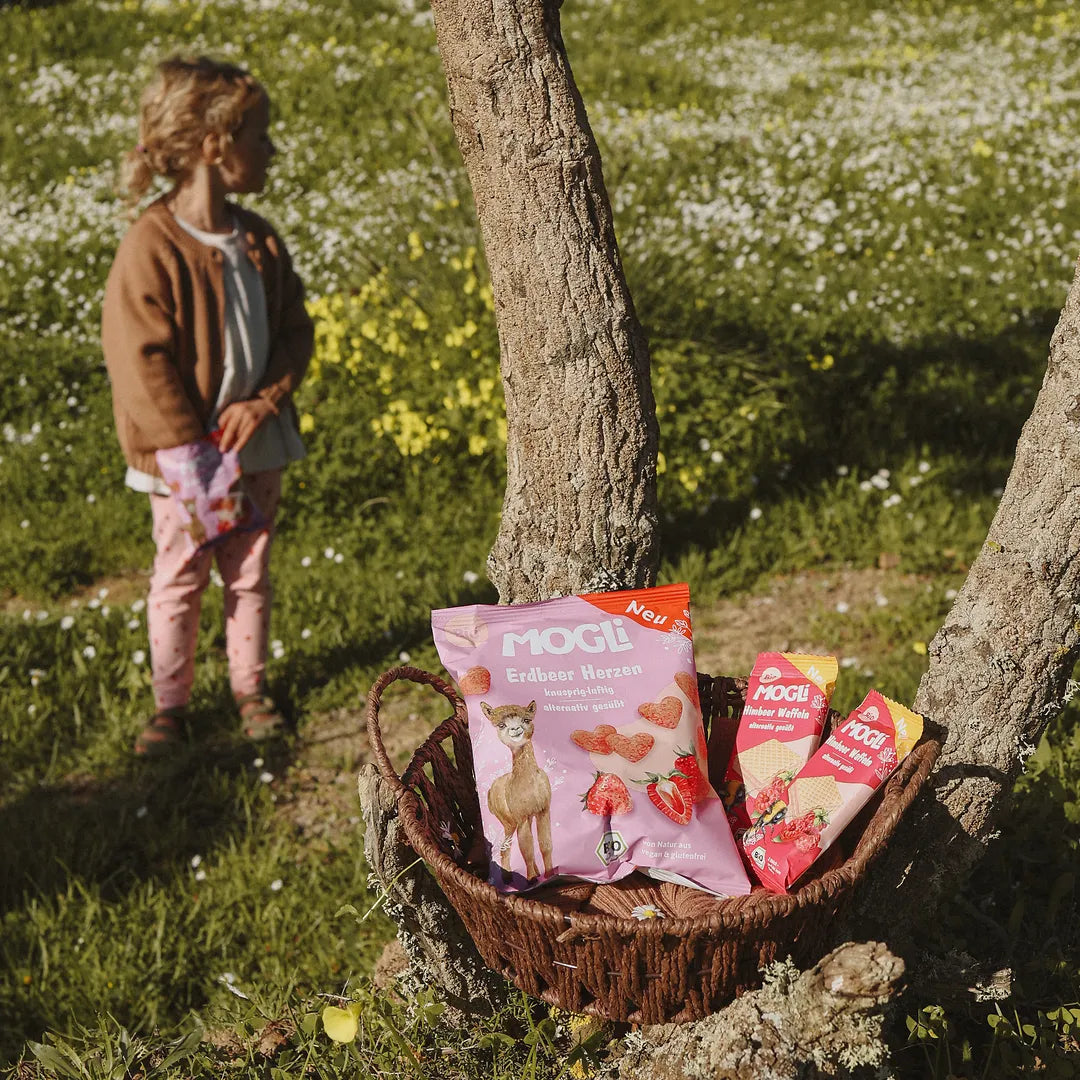 Picknickkorb im Gras zwischen zwei Baumstämmen mit MOGLi Erdbeer Herzen und MOGLi Himbeer Waffeln, im Hintergrund steht ein Kind auf einer Blumenwiese.