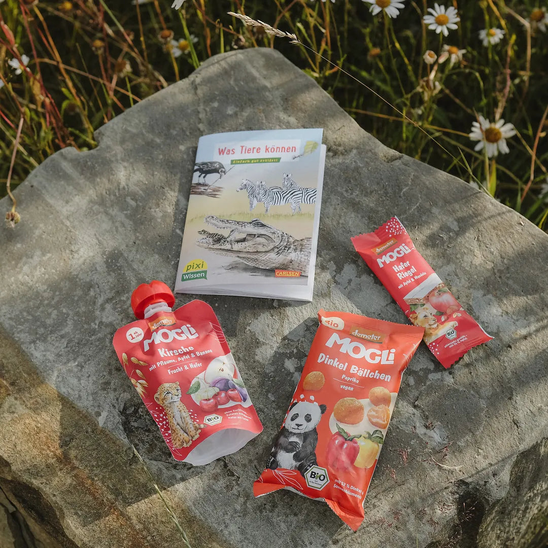 Das rote MOGLi Pixi Bundle liegt auf einem Stein auf einer Wiese, in dem Bundle sind drei Snacks und ein Pixi Buch. 
