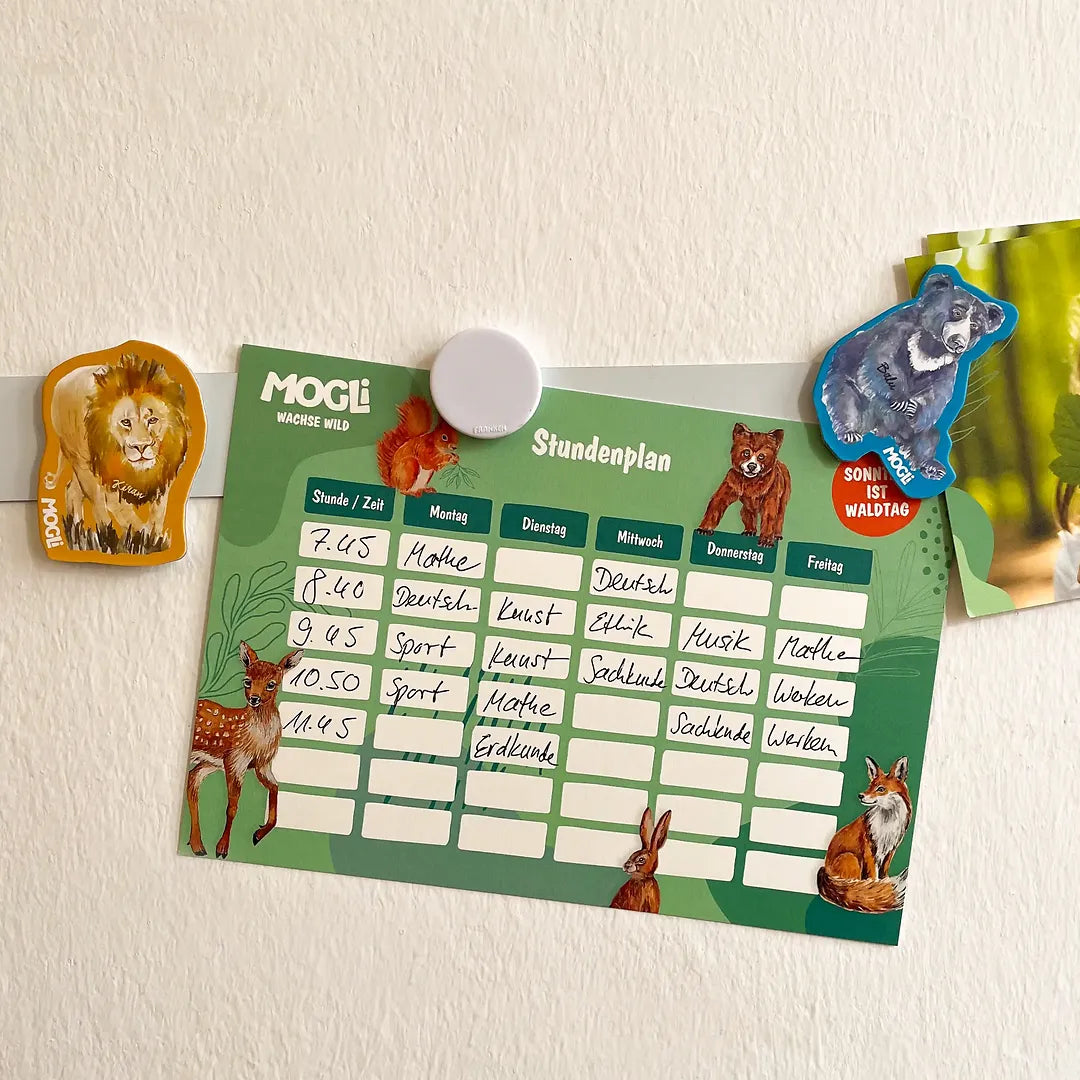 MOGLi Stundenplan mit Waldtier Motiven hängt an einer weißen Wand, daneben die MOGLi Magnete, einmal mit Balu und einmal mit dem Löwen Motiv
