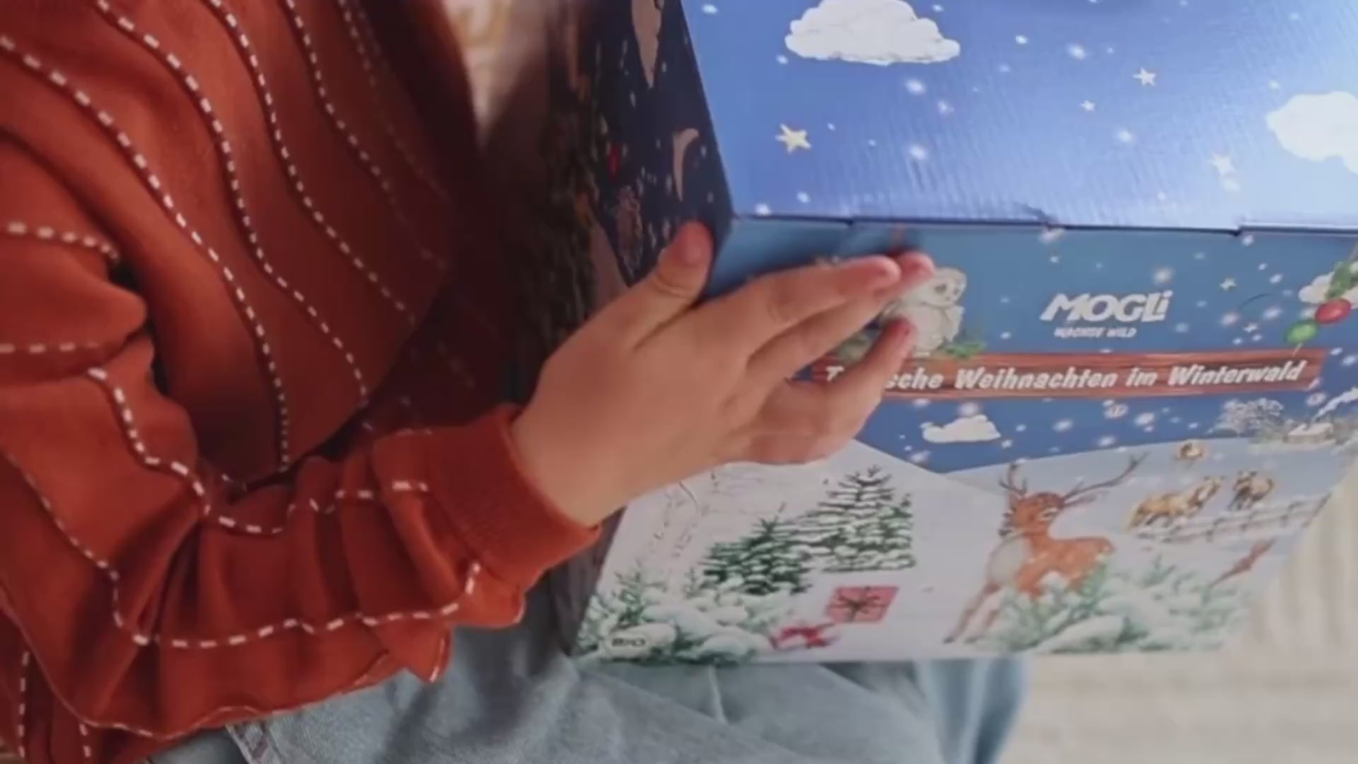 Junge entdeckt den MOGLi Adventskalender und öffnet ein paar Türchen, snackt und spielt mit den schleich Tieren.