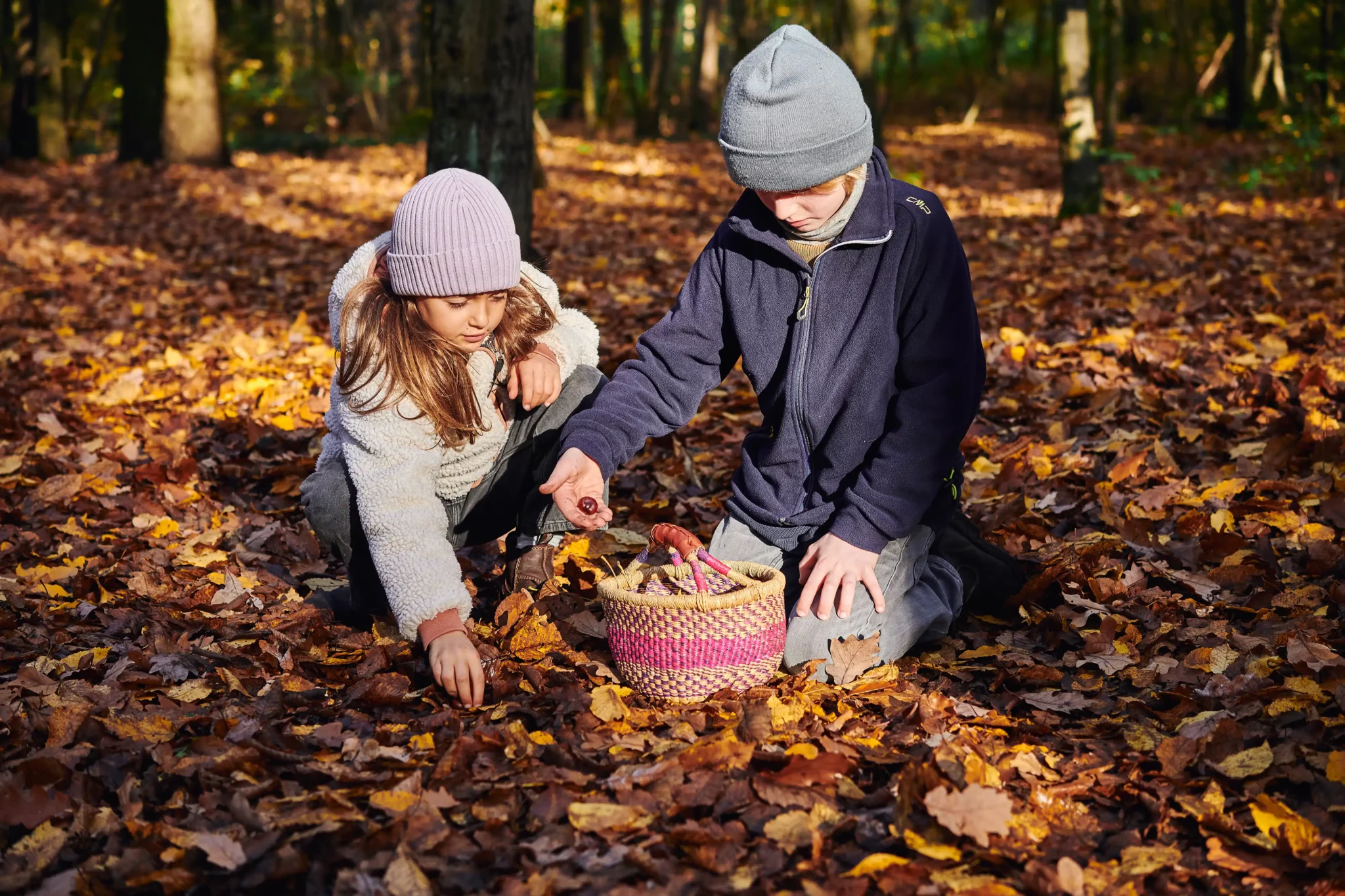 Kinder sammeln Naturmaterialien im Wald