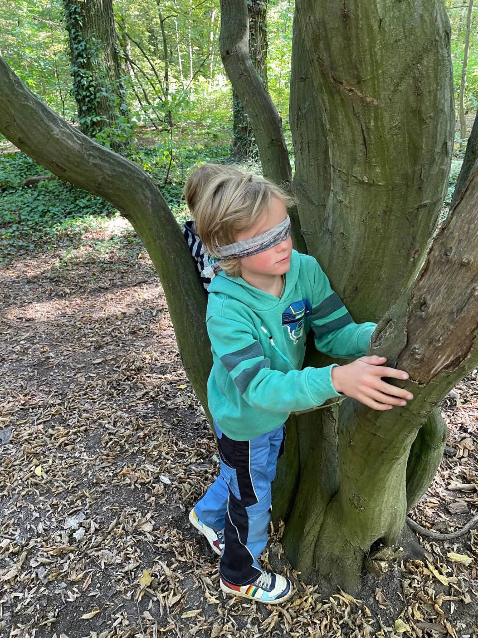 Kind ertastet Bäume mit verbundenen Augen